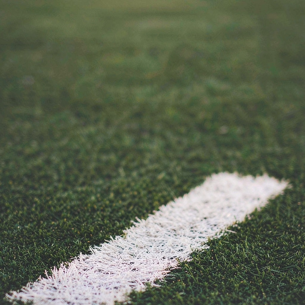 College football goal line paint and turf texture in close-up