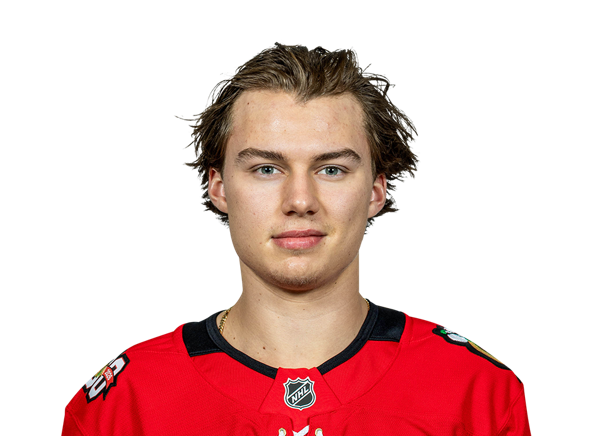 Connor Bedard, NHL
