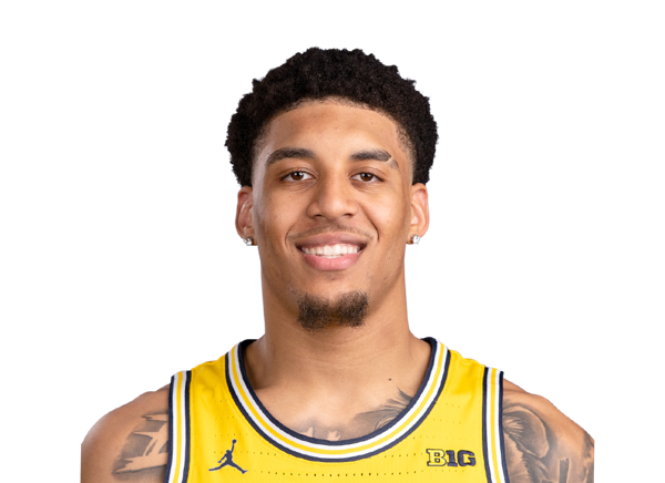 Yaxel Lendeborg, Golden State Warriors