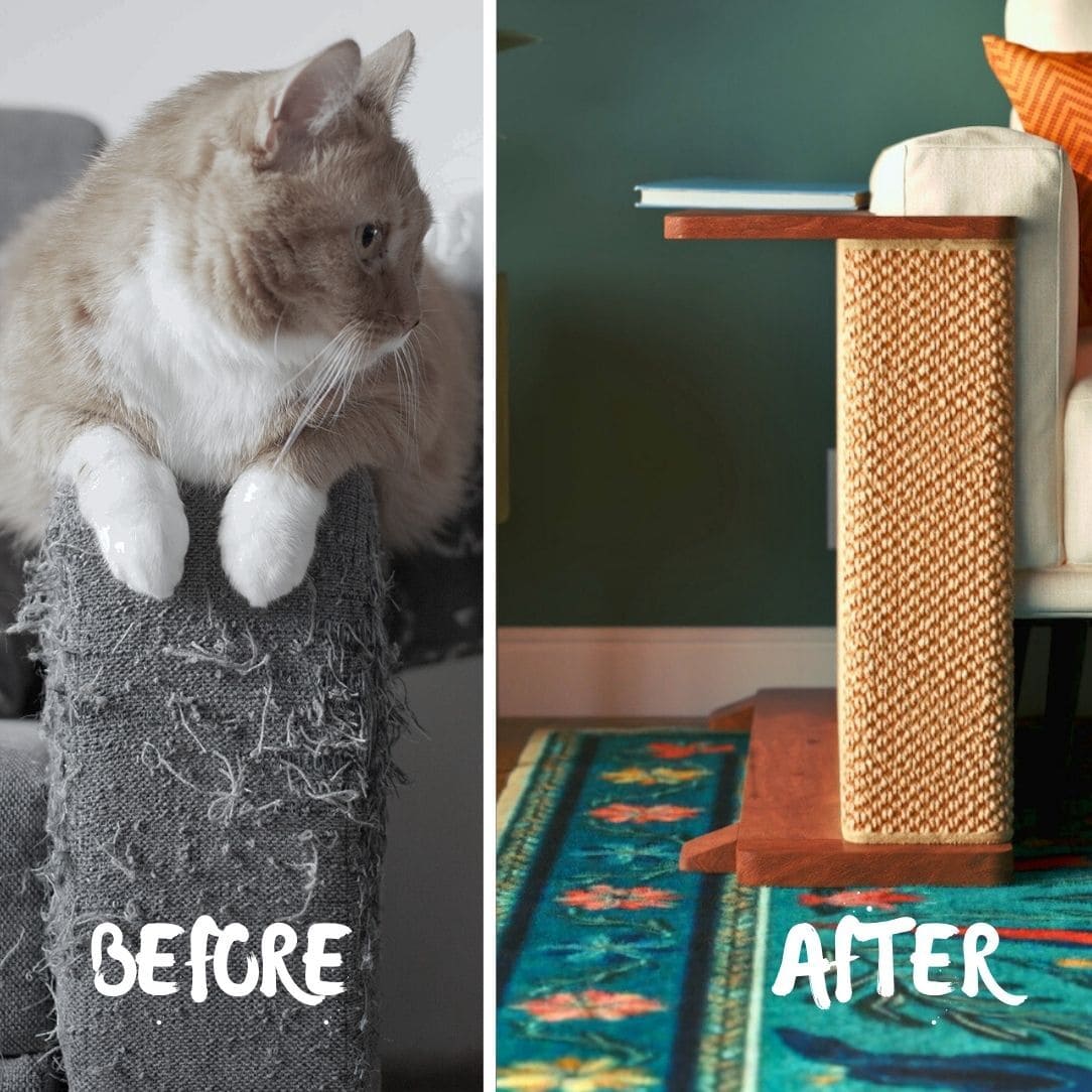 Sgsbqhi Cats Side Table