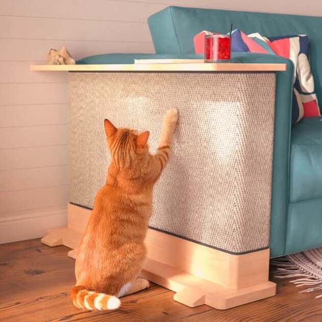 Sgsbqhi Cats Side Table