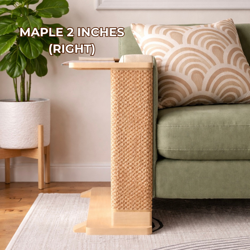 Sgsbqhi Cats Side Table