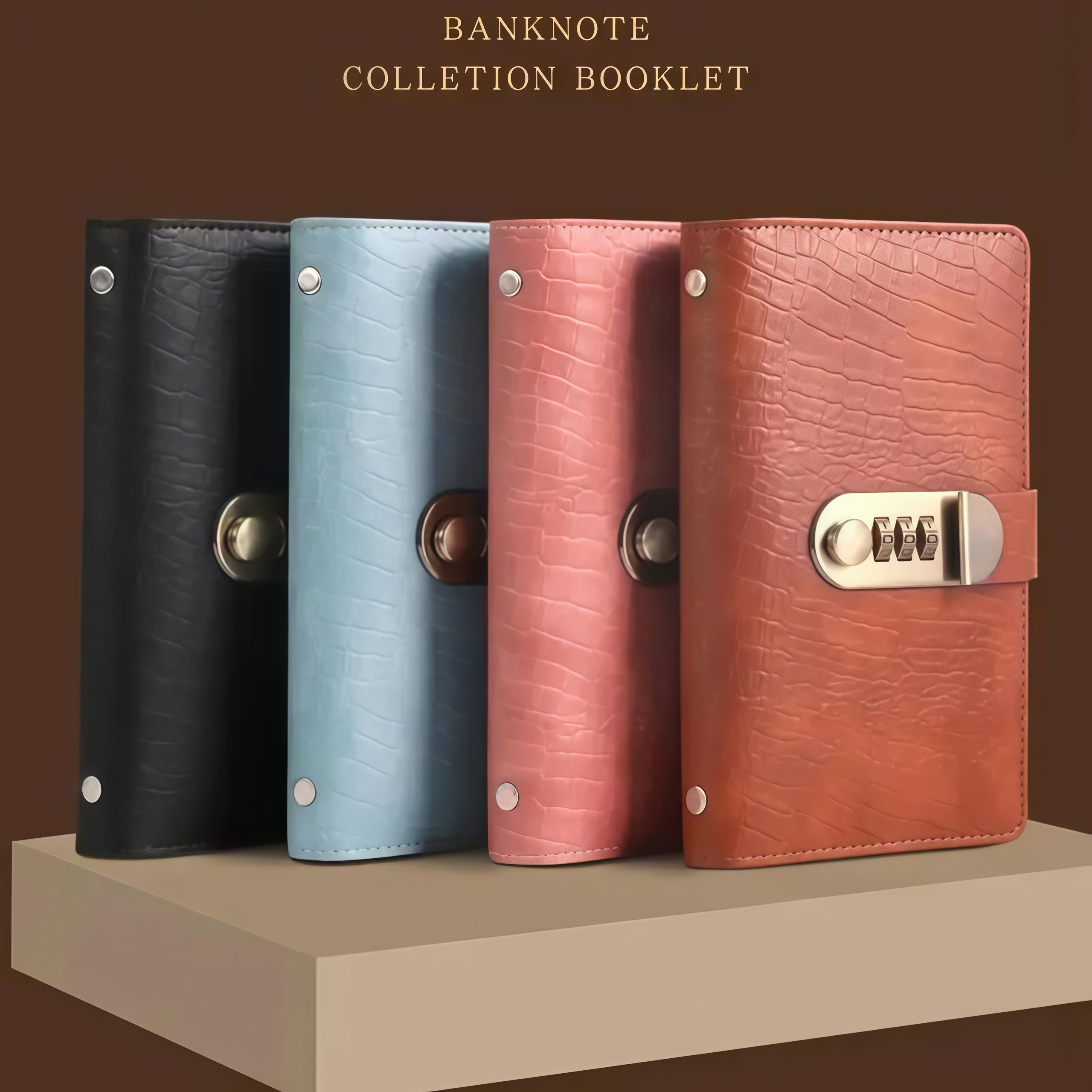 🔥Last Day 49% OFF 💵 100 Transparent Pocket Currency Collectors Album
