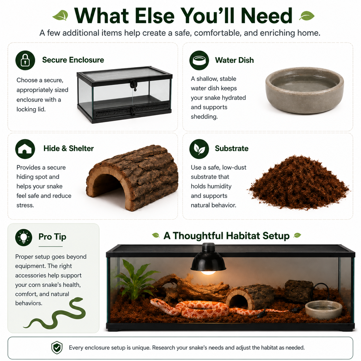 What else you'll need for a corn snake habitat, including a secure enclosure with locking lid, water dish, hides, substrate, and species-specific care research