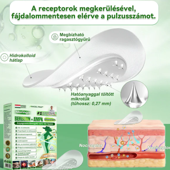 👍ANGELTRAP@Moringa x Berberine xAMPK 10 az 1-ben anyagcsere-támogató nanotűs tapasz (Naponta egy tapasz, 7 napon belül látható változások) HU✅ Különböző állapotok, például elhízás, cukorbetegség, alvási apnoe és emésztési problémák esetén alkalmazható.