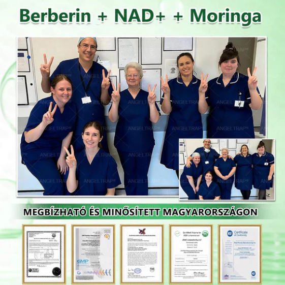 👍ANGELTRAP@Moringa x Berberine xAMPK 10 az 1-ben anyagcsere-támogató nanotűs tapasz (Naponta egy tapasz, 7 napon belül látható változások) HU✅ Különböző állapotok, például elhízás, cukorbetegség, alvási apnoe és emésztési problémák esetén alkalmazható.