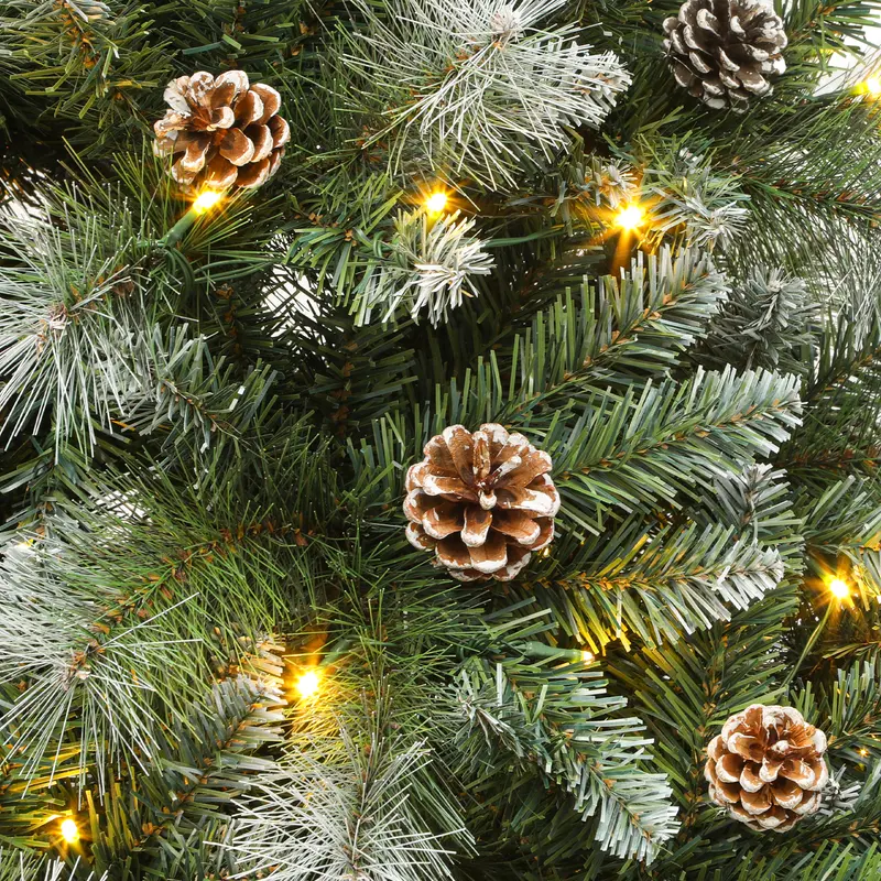 Pine cone and foliage details
