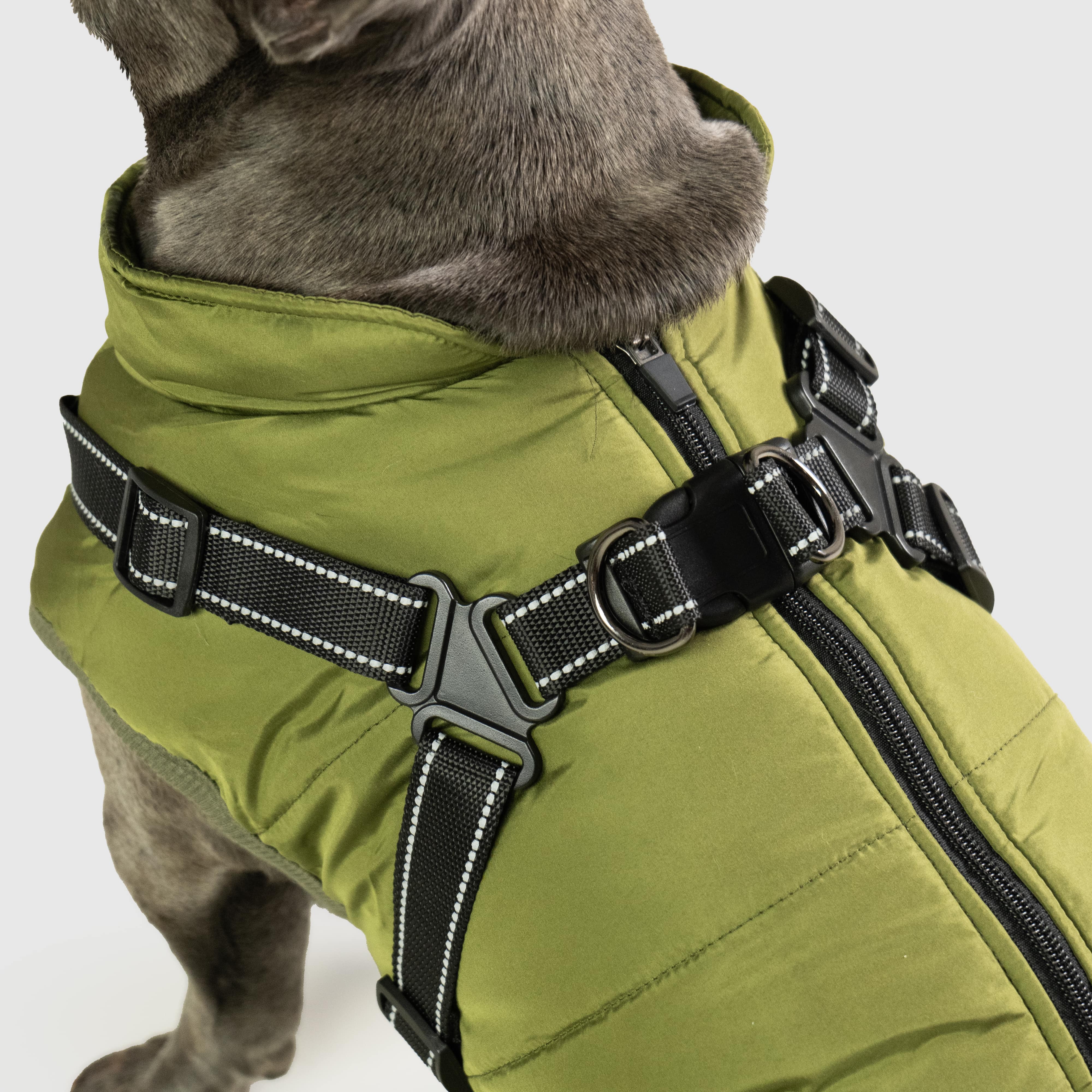 Built-in adjustable harness on DoggyKings jacket