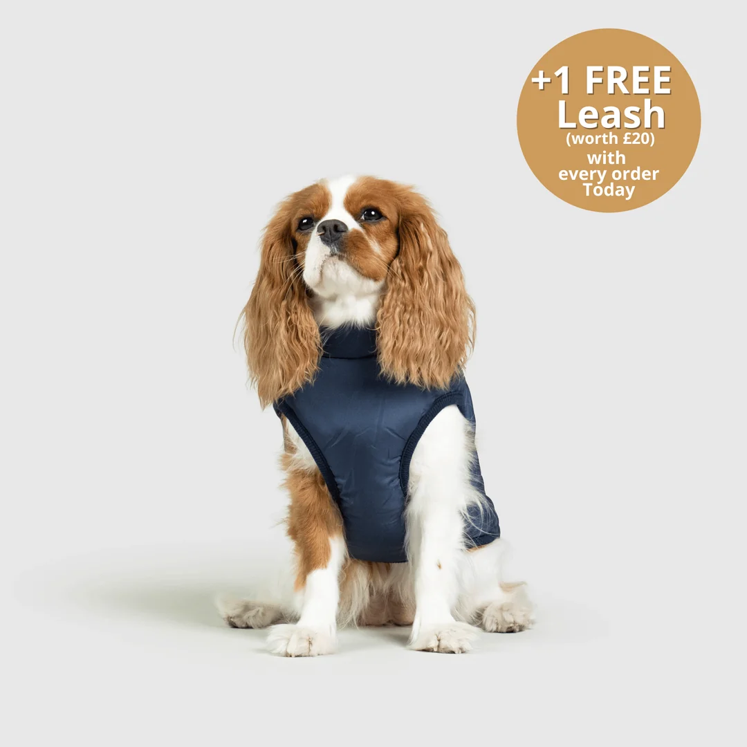 3-in-1 Dog Winter Jacket with Built-In Harness