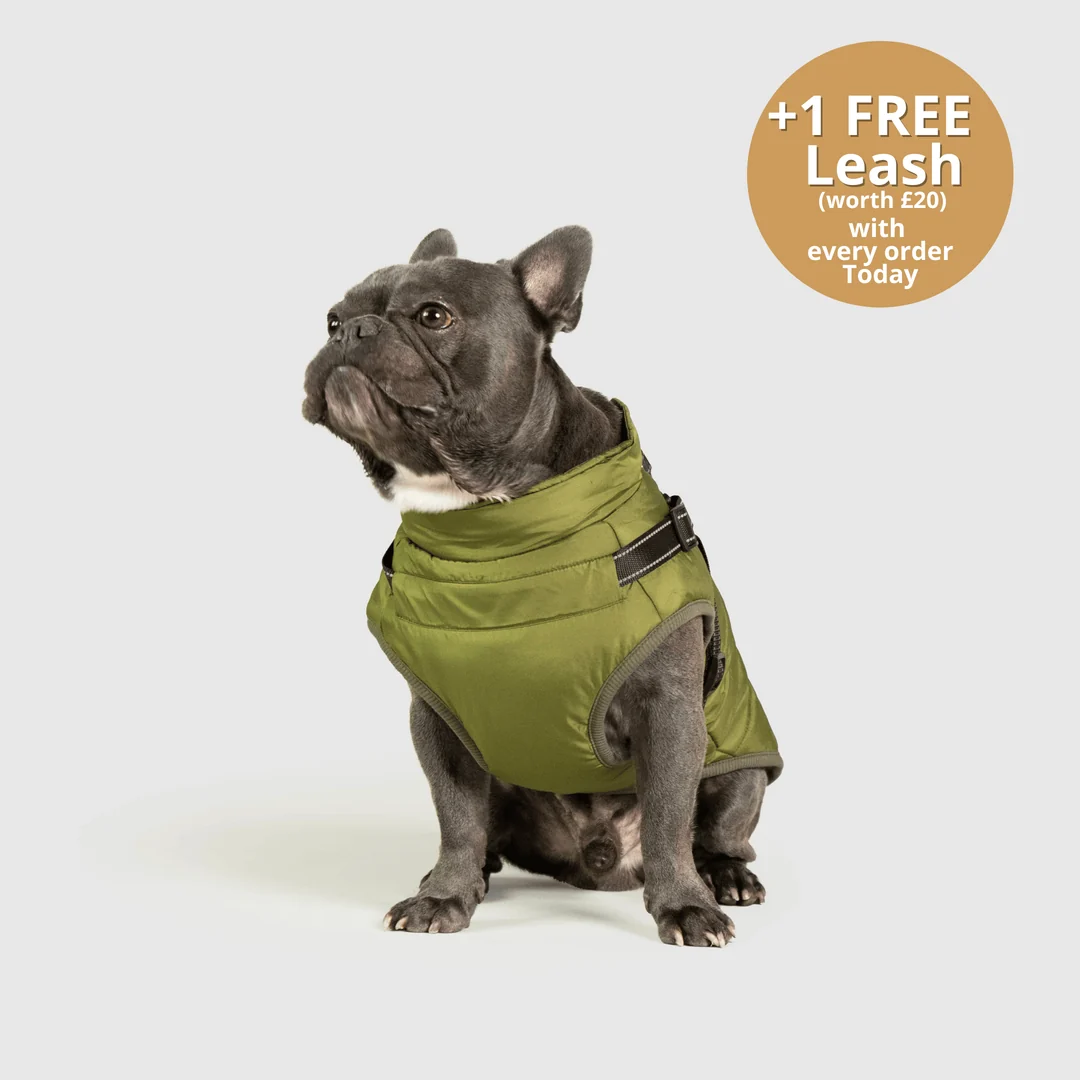 3-in-1 Dog Winter Jacket with Built-In Harness