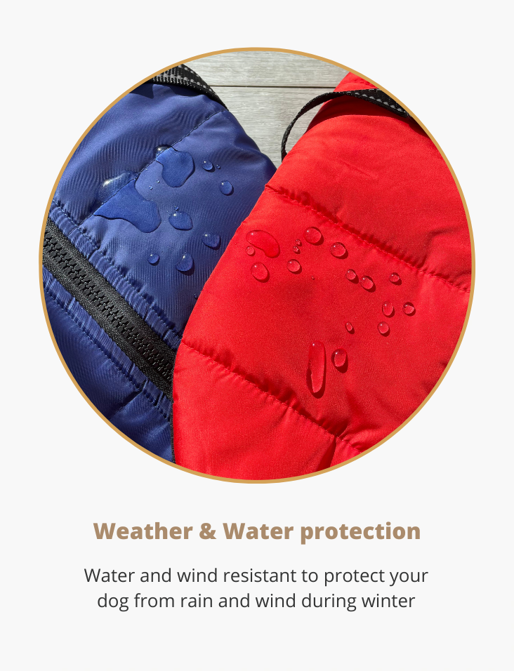 Water resistant fabric on DoggyKings dog coat