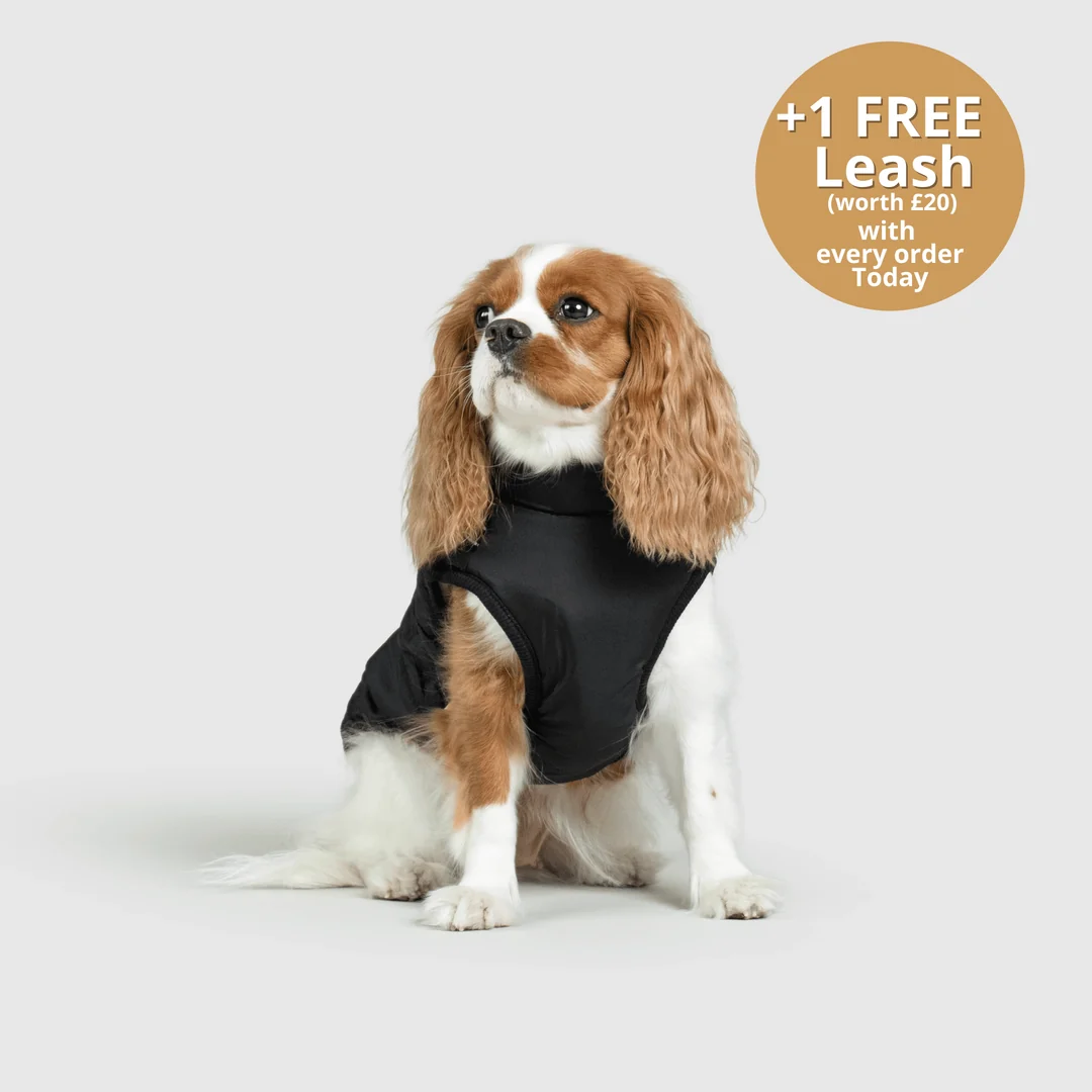 3-in-1 Dog Winter Jacket with Built-In Harness