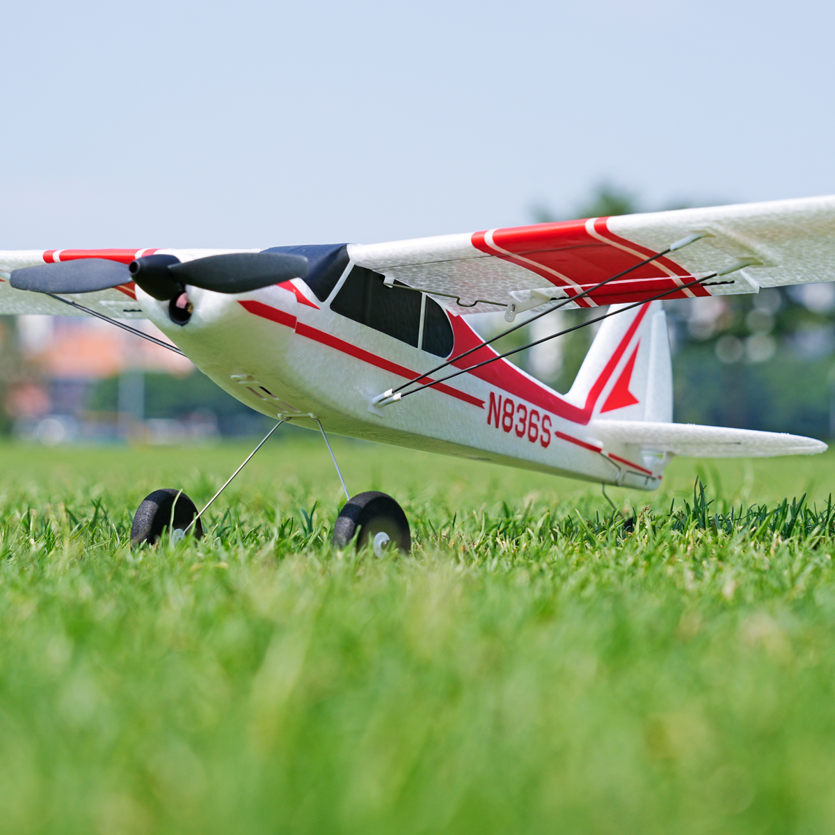 Arrows 500mm PA-18 RTF