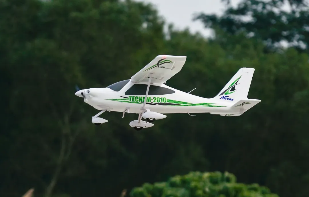 Arrows 1450mm Tecnam-2010 PNP