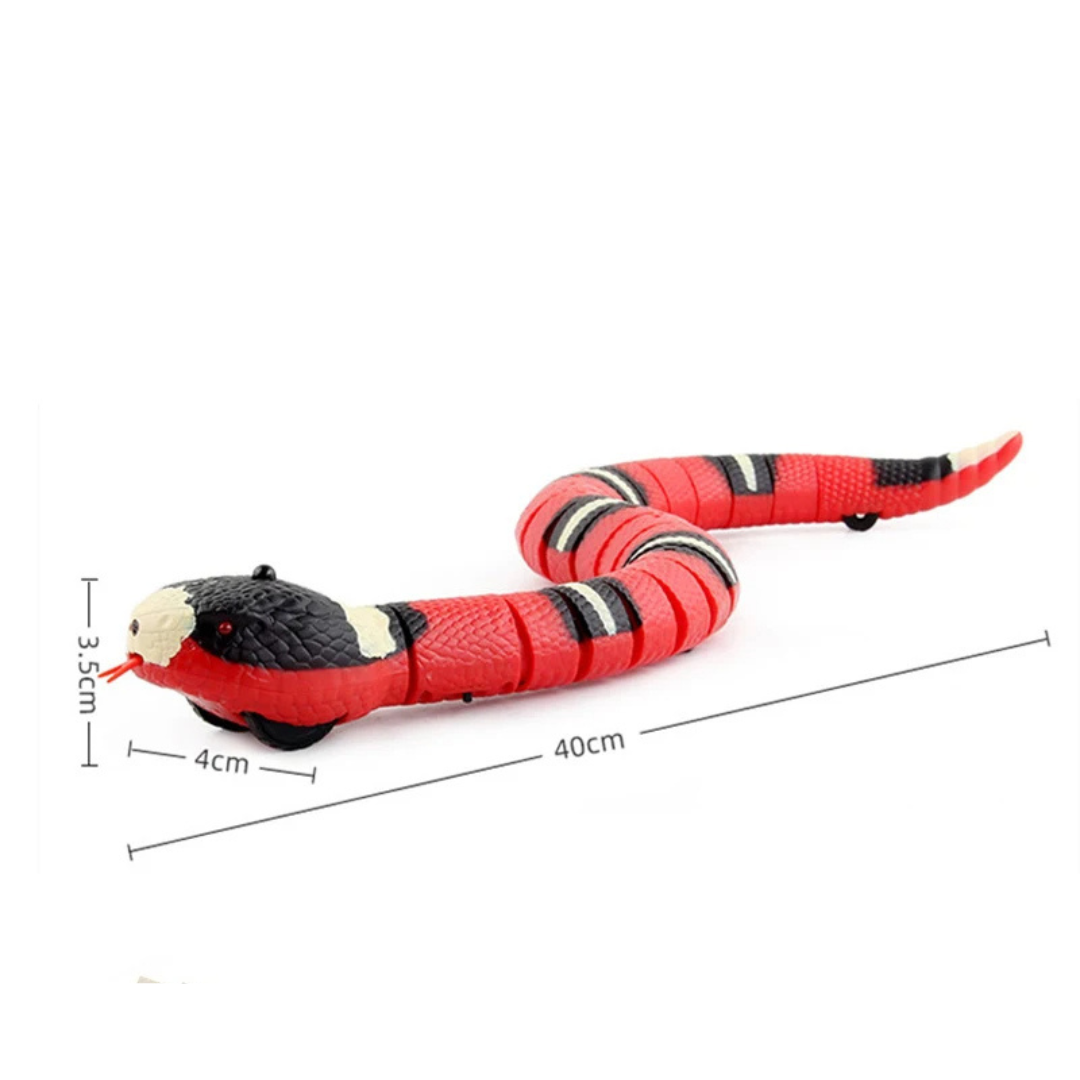  Interactive Cat Toy