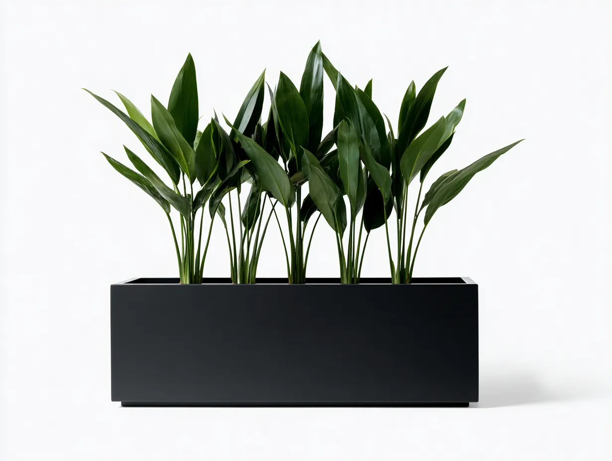 Pot à fleurs 100×35×50 cm – métal noir – bac rectangulaire pour terrasse-Pavoradohome