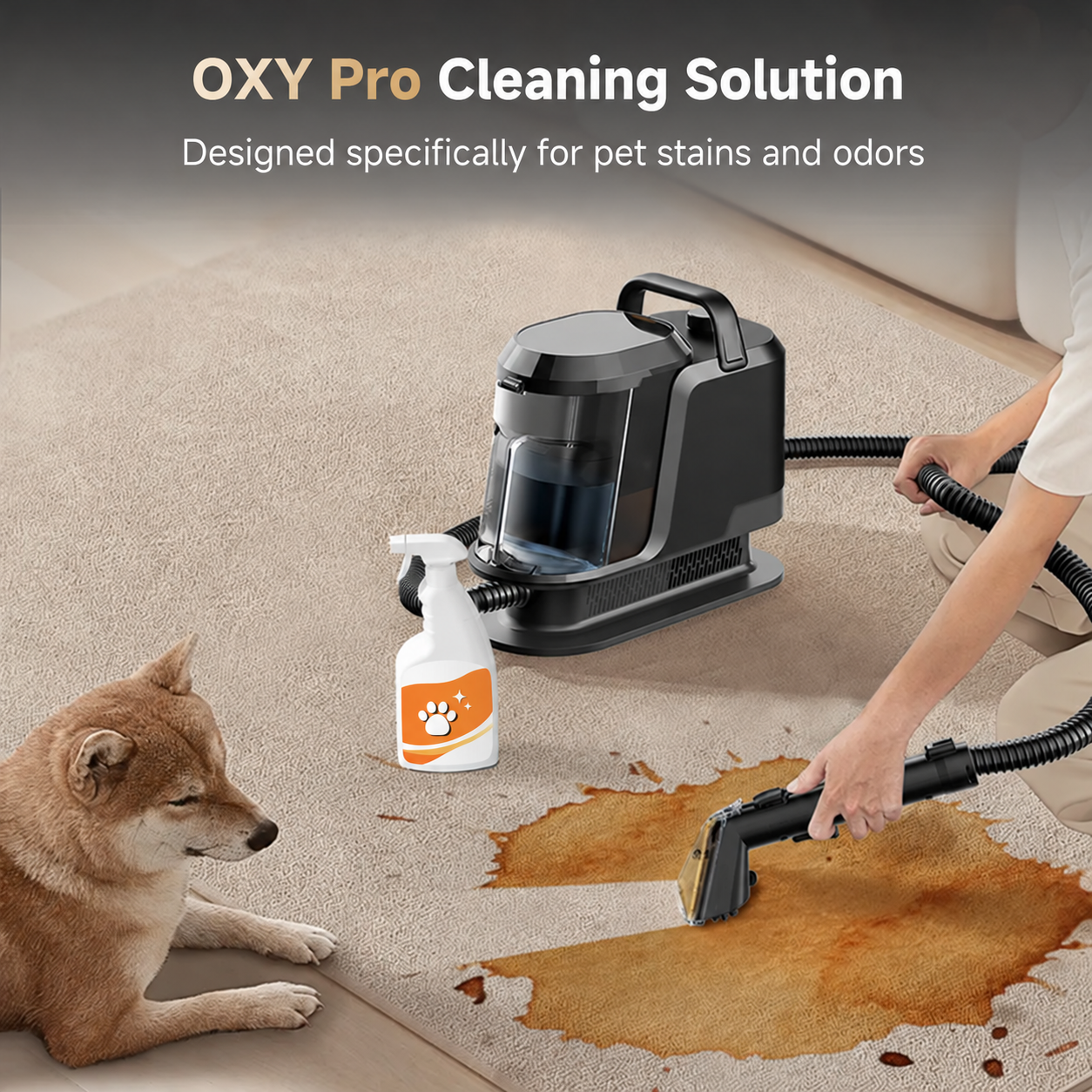Pet stain cleaning solution