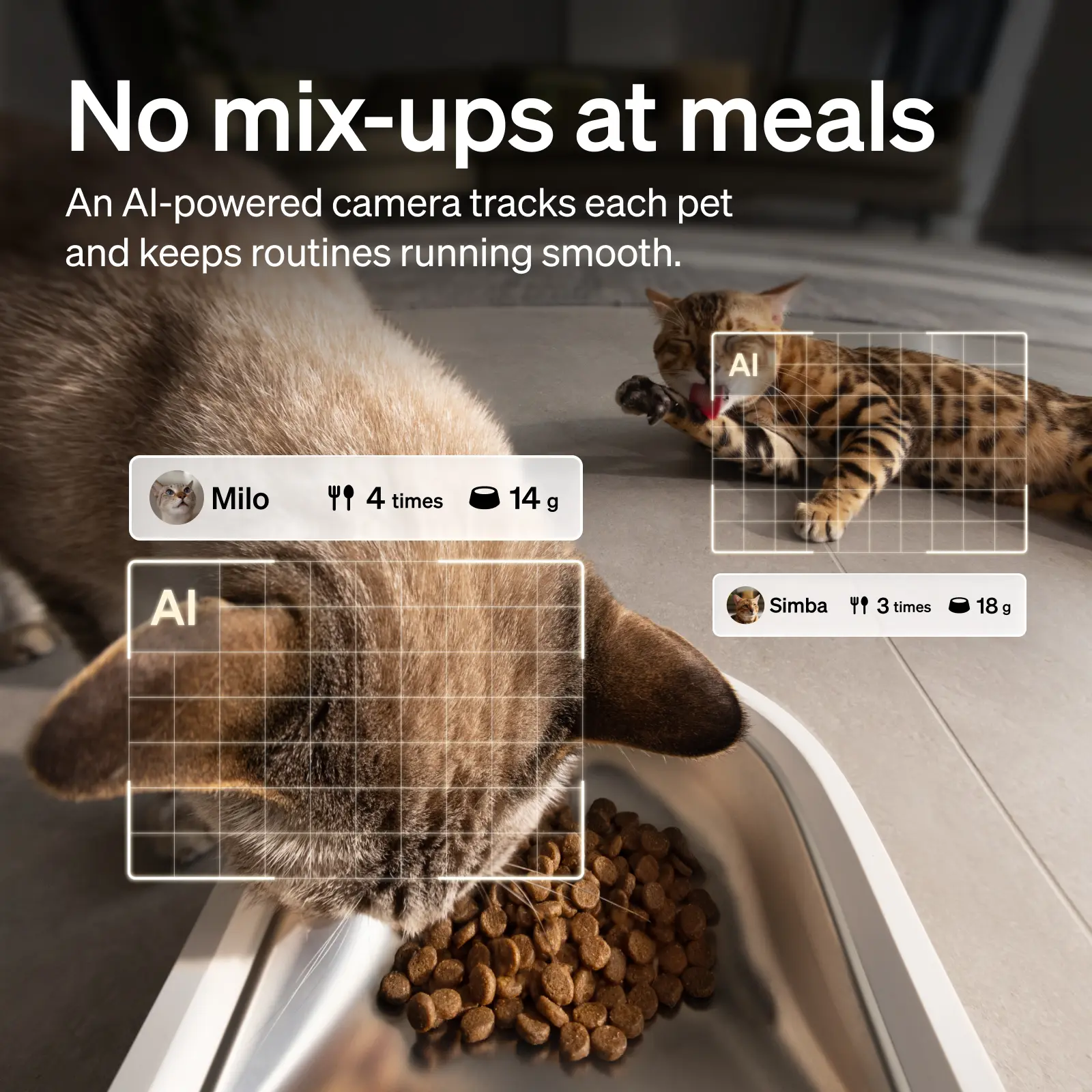 PETLIBRO automatic cat feeder product image