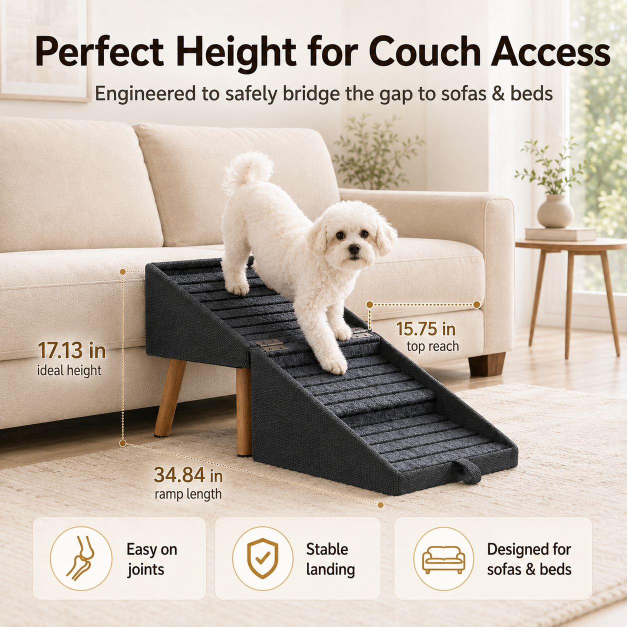 Dog using convertible sofa ramp