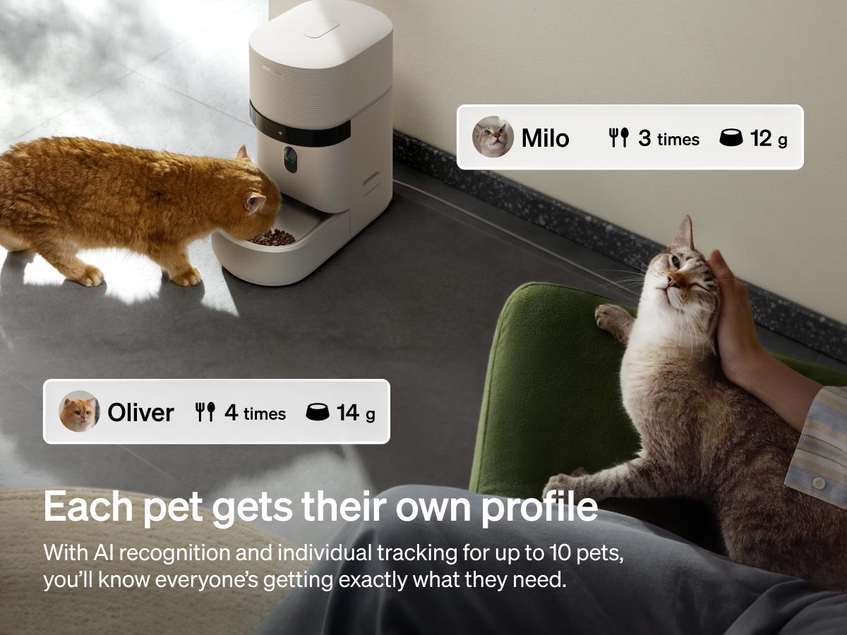 PETLIBRO automatic cat feeder product detail image
