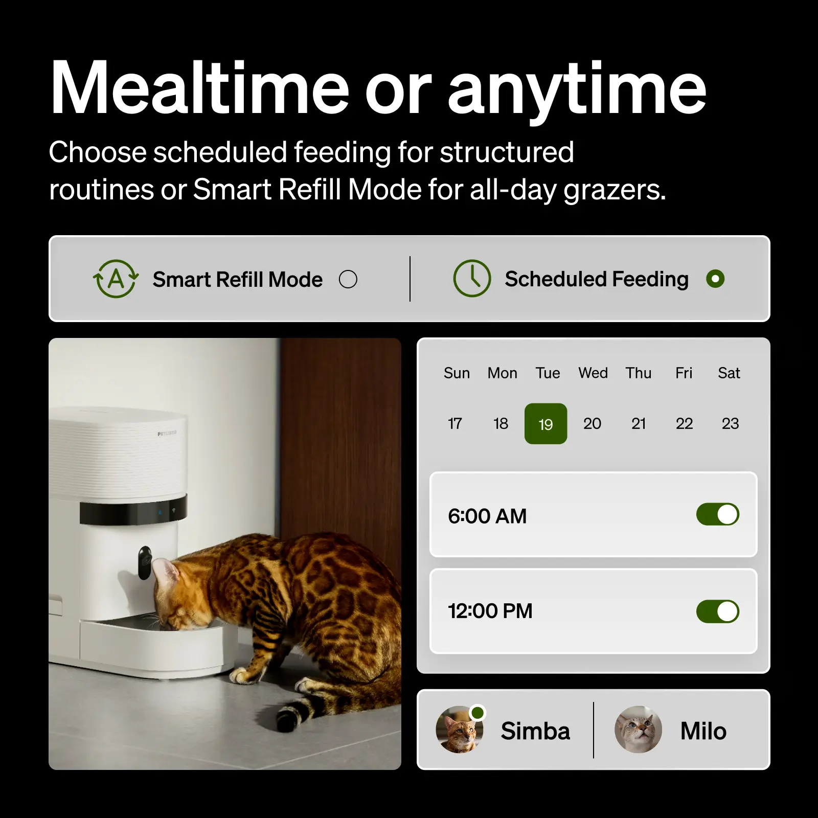 PETLIBRO automatic cat feeder gallery image