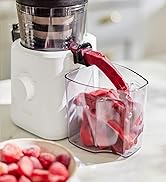 Nama juicer detail image 20
