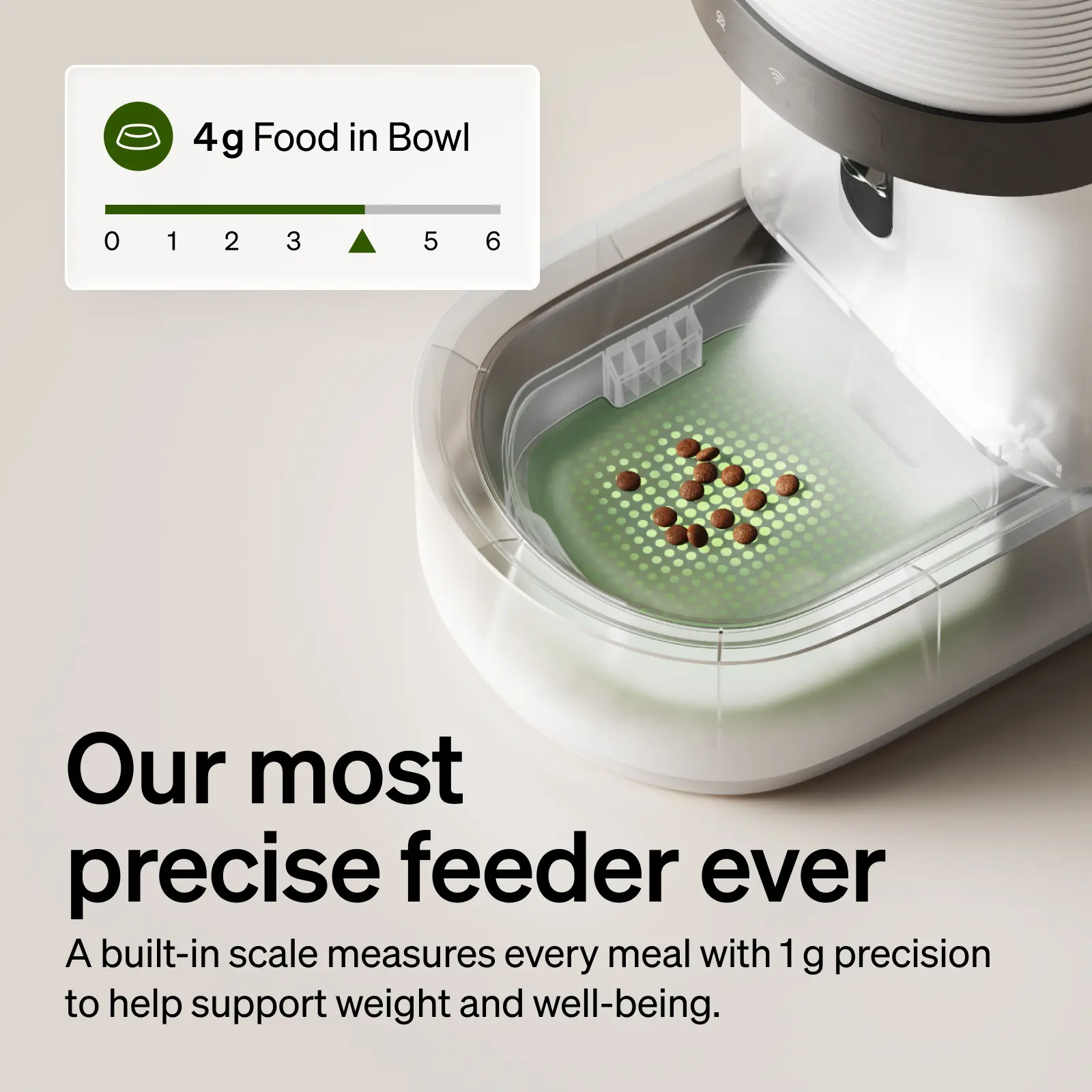 PETLIBRO automatic cat feeder gallery image