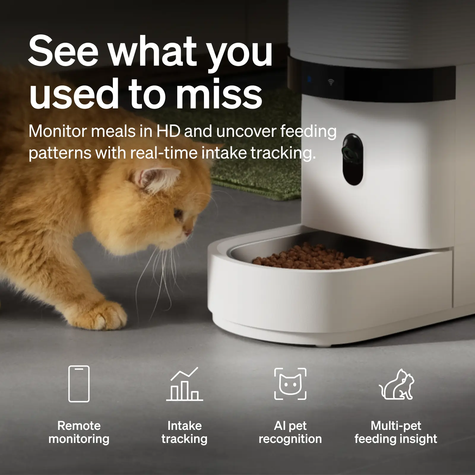 PETLIBRO automatic cat feeder product image