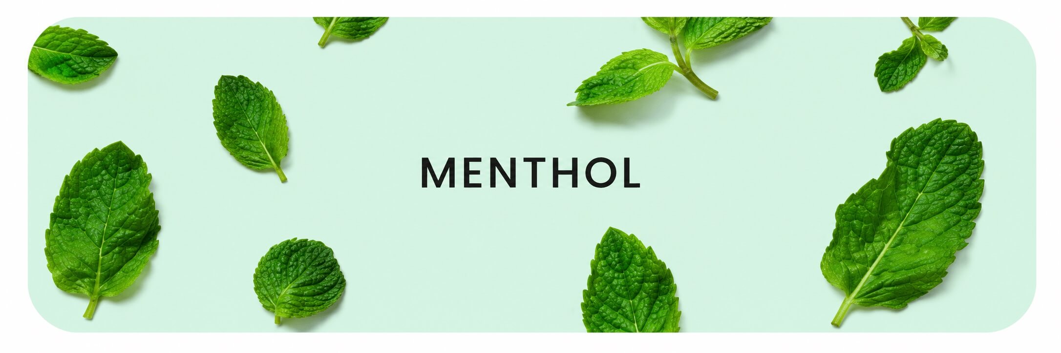 Menthol