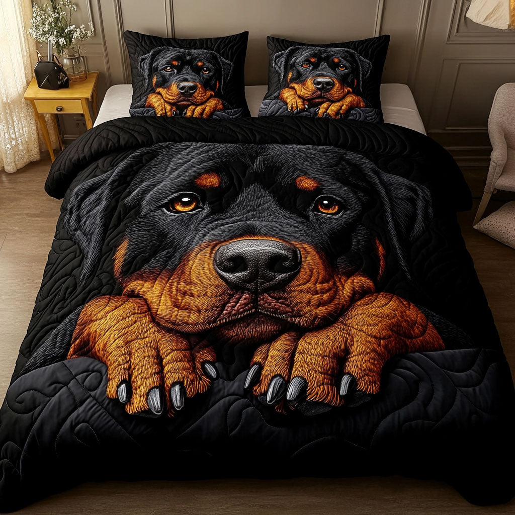 Gentle Gaze 3-Piece Quilted Bedding Set NCU0NNT630