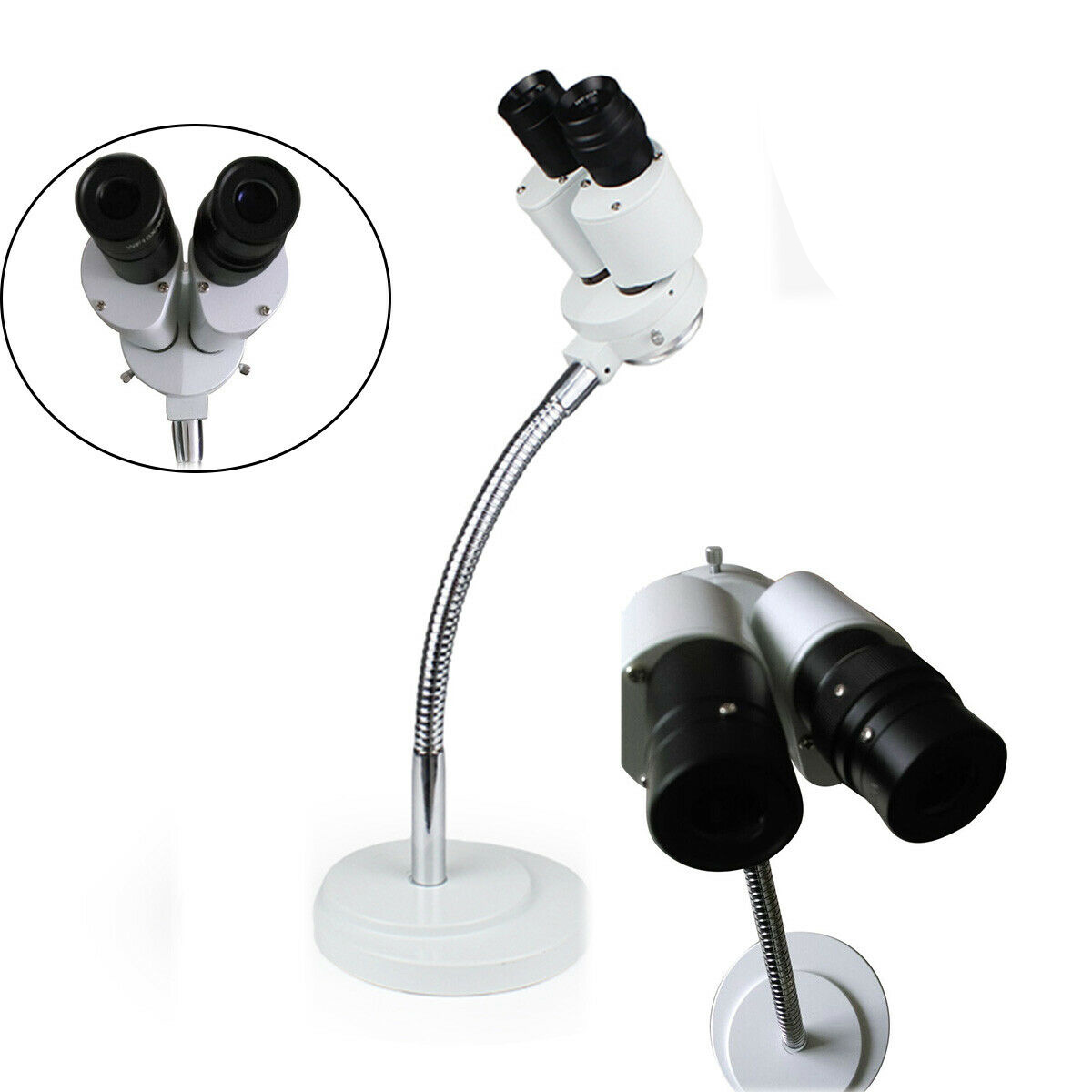 Micare 8X Microscope Comprehensive Magnification 360° Revolve Professional Dental Lab Equipment image 13