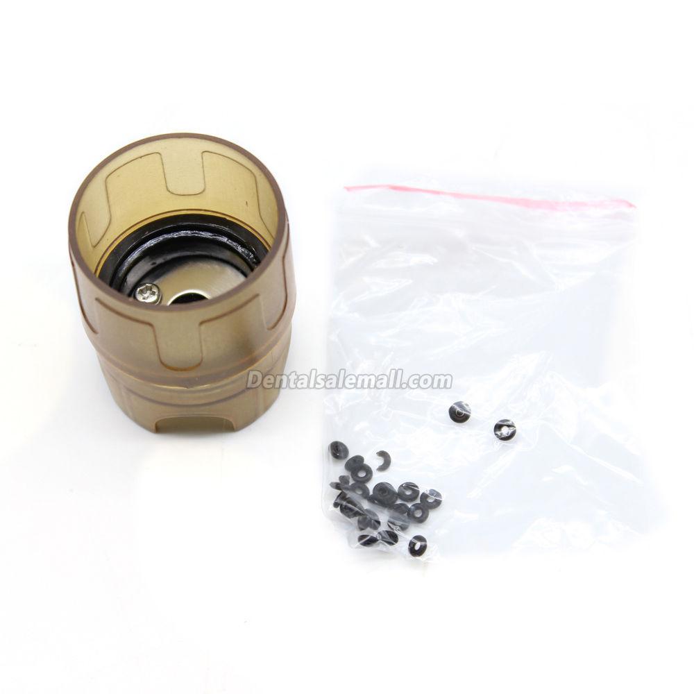 Dental Ultrasonic Piezo Scaler Handpiece Tips, Compatible with EMS WOODPECKER and 2 Bottles image 6