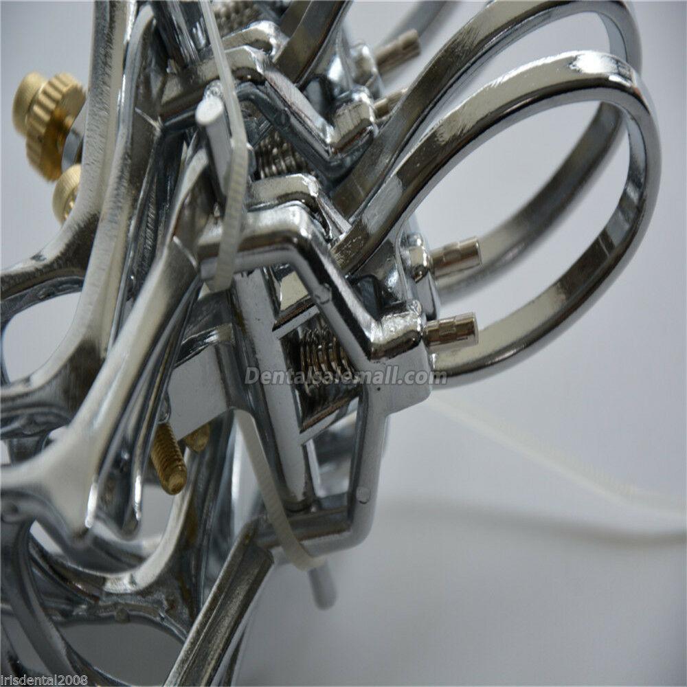5-Piece Dental Zinc Alloy Spring Articulator Denture Articulator image 7