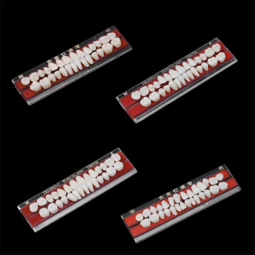 Alloy Pin Dental Materials Porcelain Teeth Tooth Shade Guide Dentures 24 #, 5-Set Pack image 1