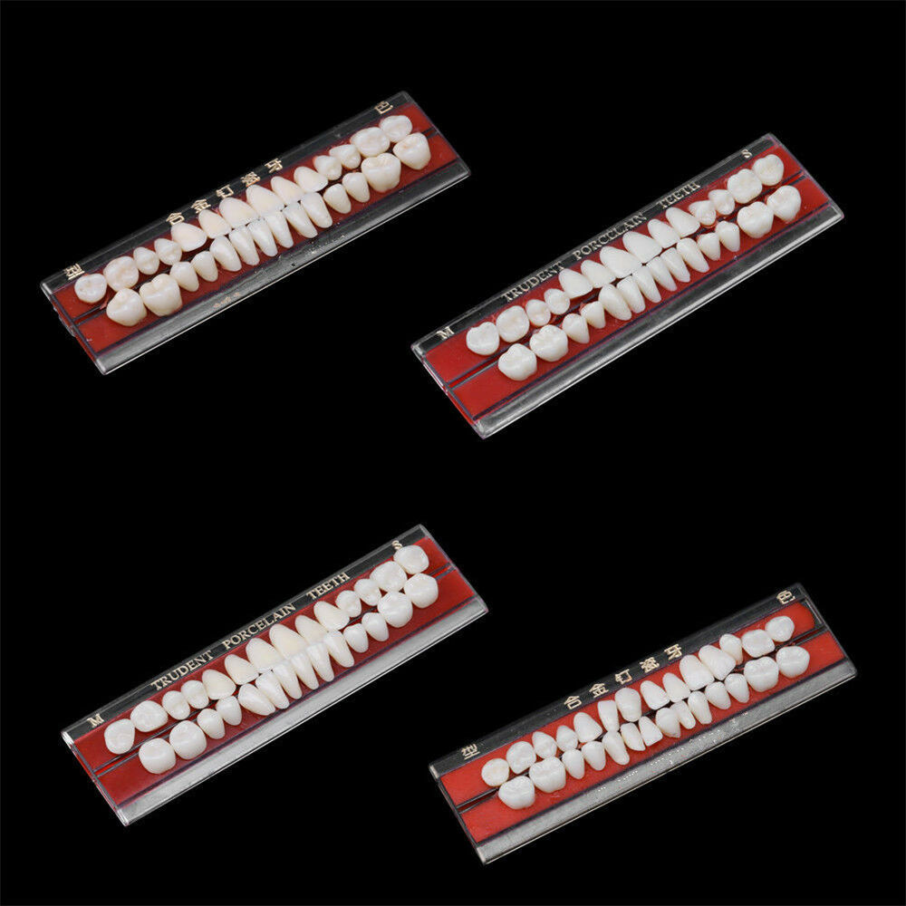 Alloy Pin Dental Materials Porcelain Teeth Tooth Shade Guide Dentures 24 #, 5-Set Pack image 2