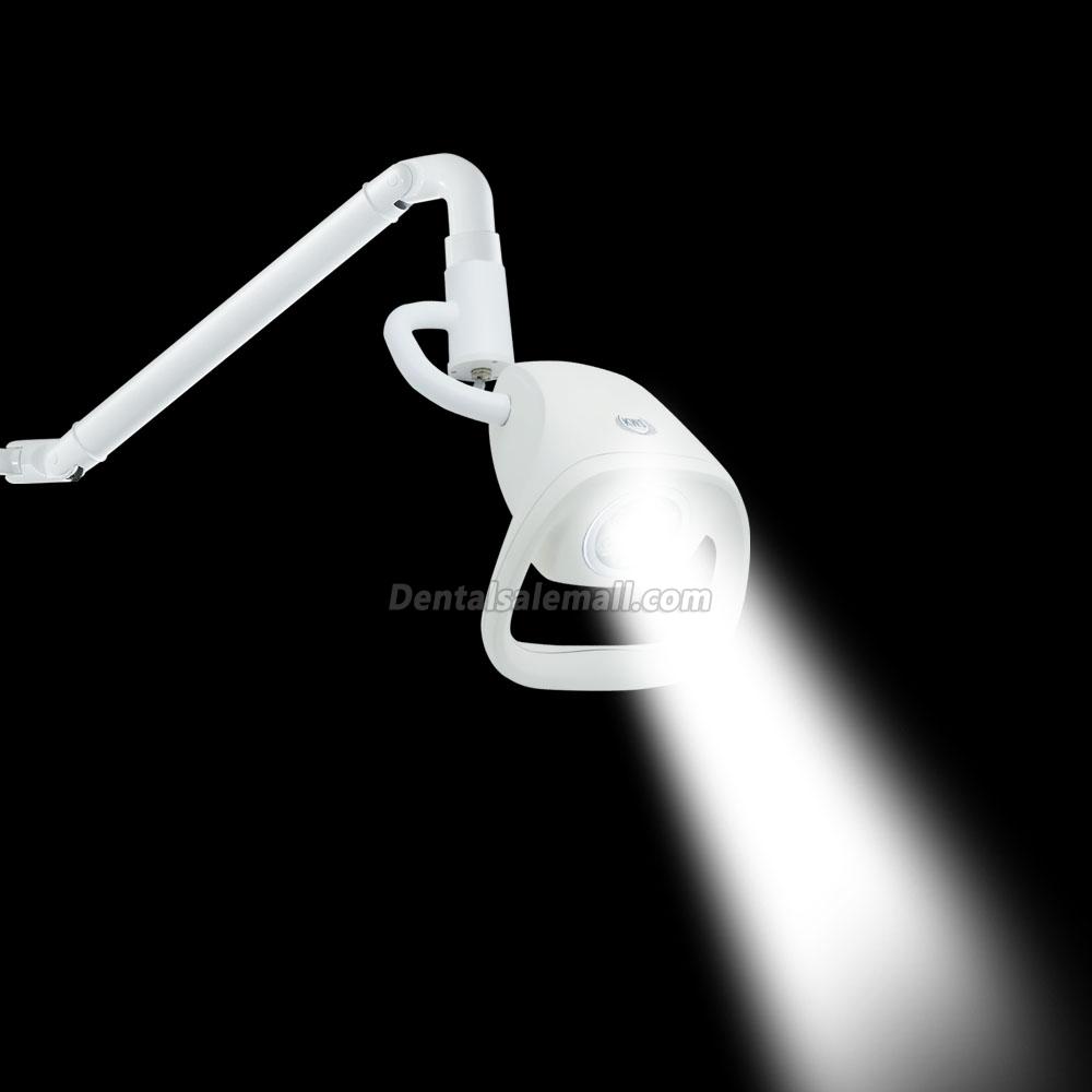 KD-2021W-2 21W Ceiling-Mounted Professional Dental LED Intensive Care Lights Hanging Tower Inspection Lights image 5