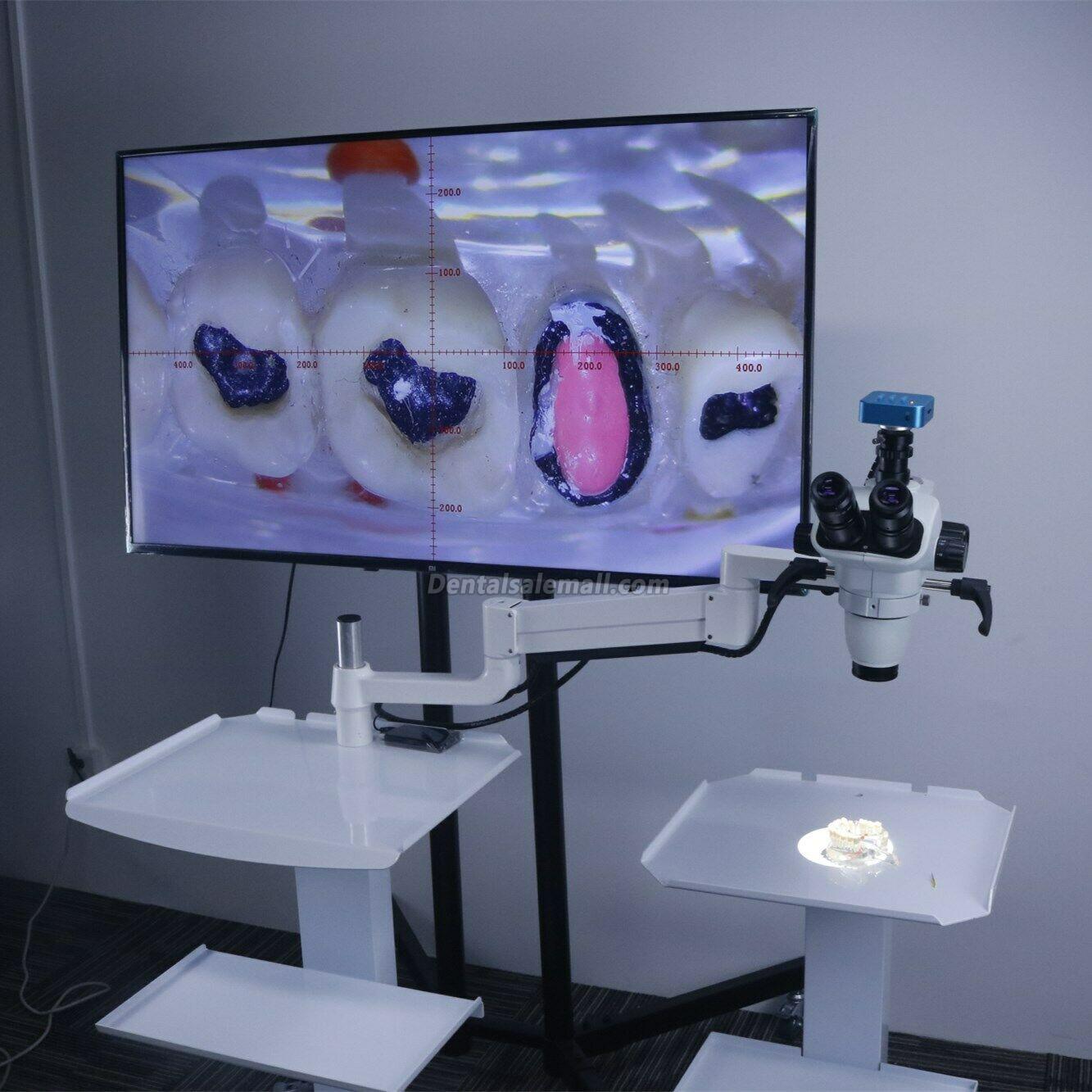 5W Trolley Type Professional Dental Endo Operating Microscope Loups with Camera image 8