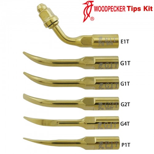 Woodpecker DTE Professional Dental Ultrasonic Scaler Tip Kit Endo Periodontics G1T G2T G4T P1T E1T image 1