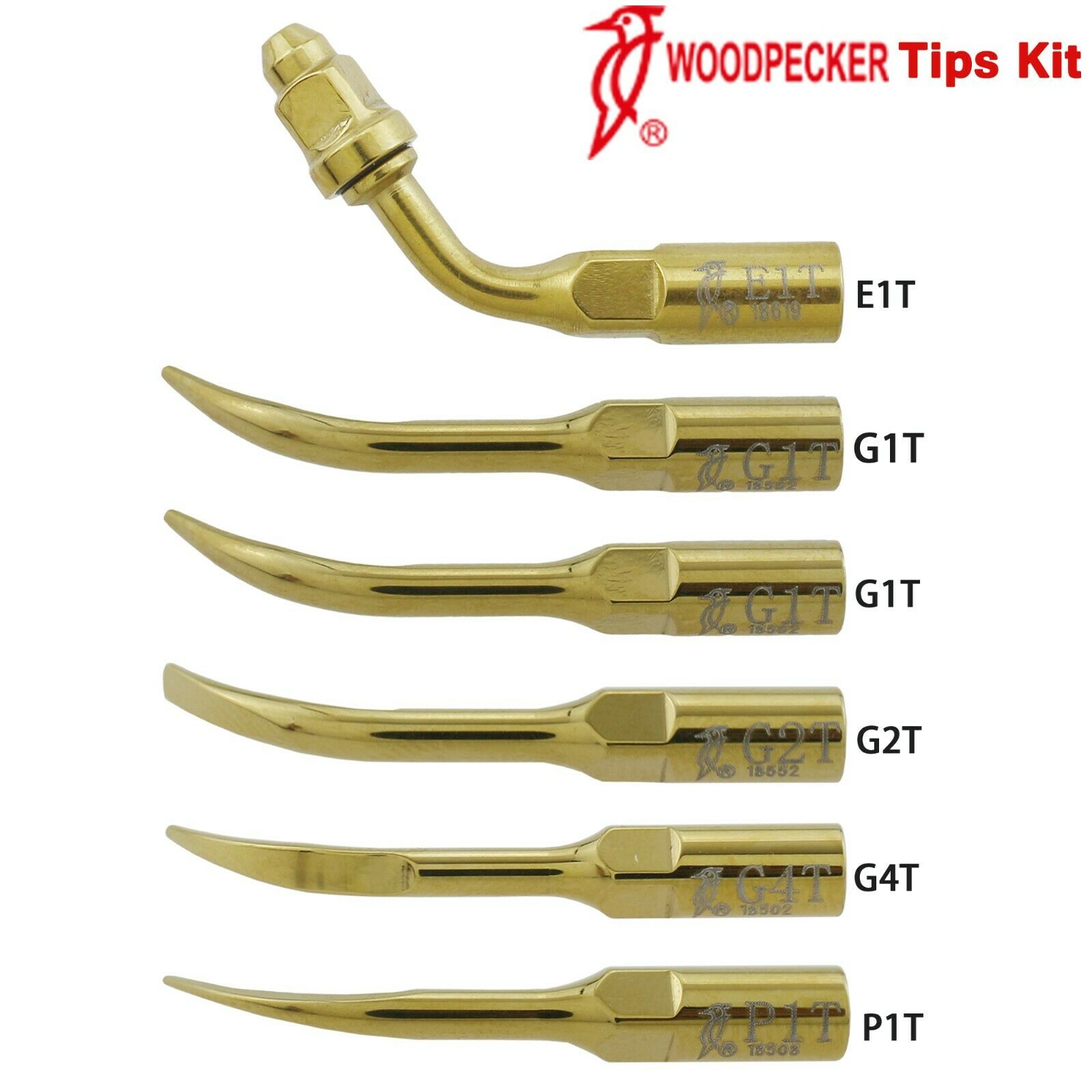 Woodpecker DTE Professional Dental Ultrasonic Scaler Tip Kit Endo Periodontics G1T G2T G4T P1T E1T image 2