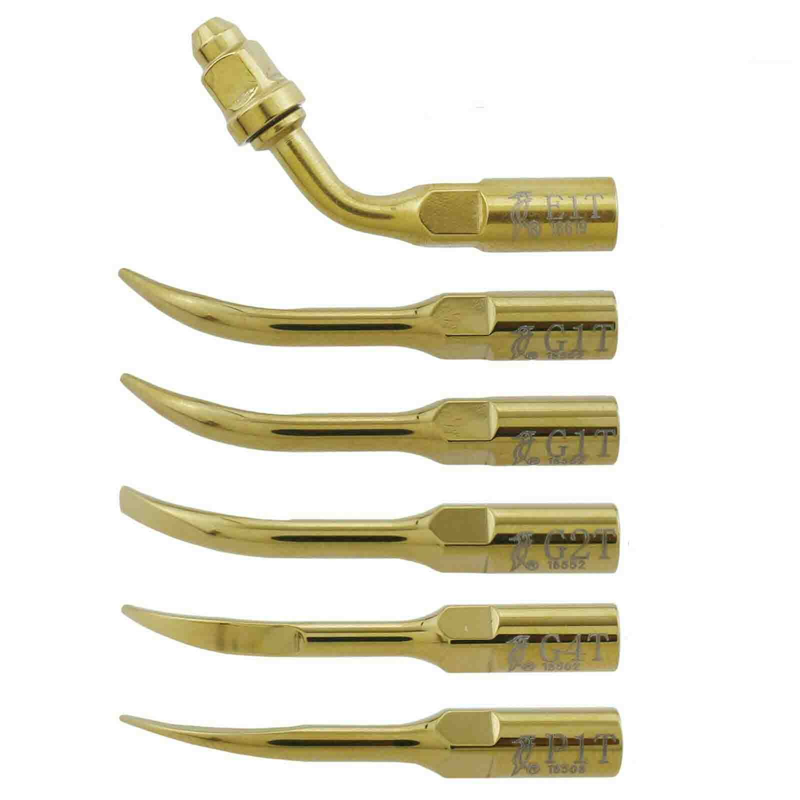 Woodpecker DTE Professional Dental Ultrasonic Scaler Tip Kit Endo Periodontics G1T G2T G4T P1T E1T image 3