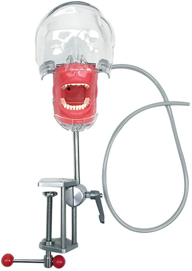 Bench Mount Professional Dental Simulator Manikin Phantom Head Typodont Compatible Nissin Kilgores image 3