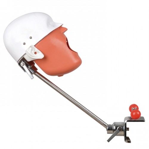 Bench Mount Professional Dental Manikin Phantom Head Dental Patient Simulator Typodont, Compatible with Nissin Kilgore/ Frasaco image 1
