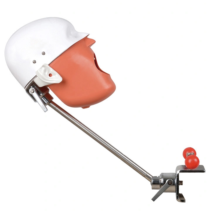 Bench Mount Professional Dental Manikin Phantom Head Dental Patient Simulator Typodont, Compatible with Nissin Kilgore/ Frasaco image 2
