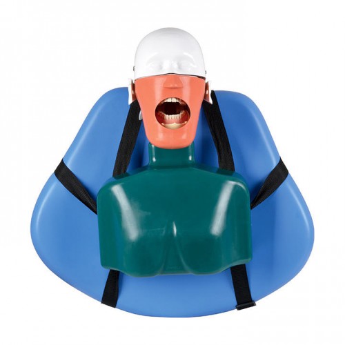 Jingle JG-C4 Professional Dental Manikin Head Phantom Head for Dental Patient Simulator Typodont, Compatible with Nissin Kilgore/ Frasaco image 1