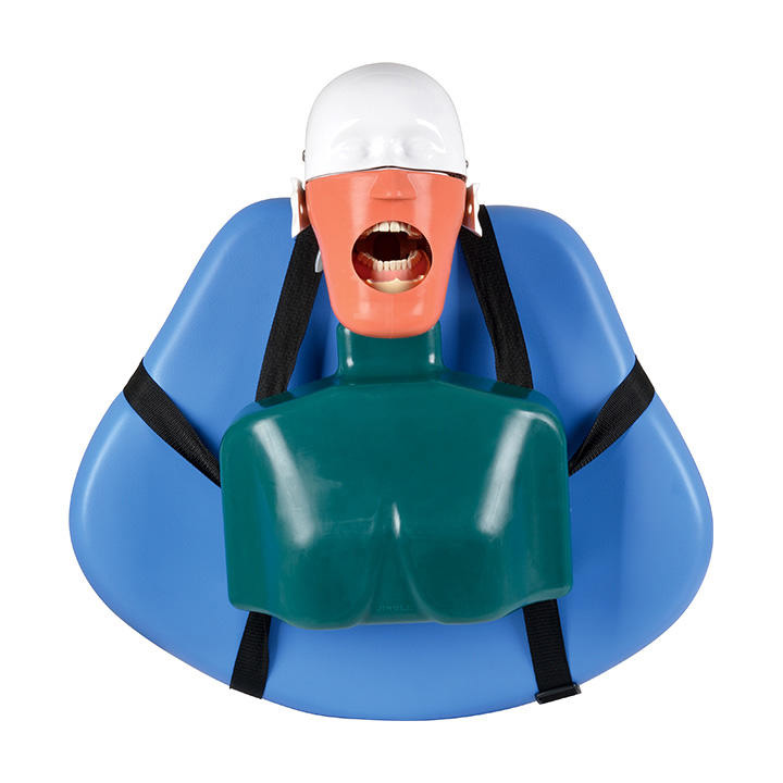 Jingle JG-C4 Professional Dental Manikin Head Phantom Head for Dental Patient Simulator Typodont, Compatible with Nissin Kilgore/ Frasaco image 2