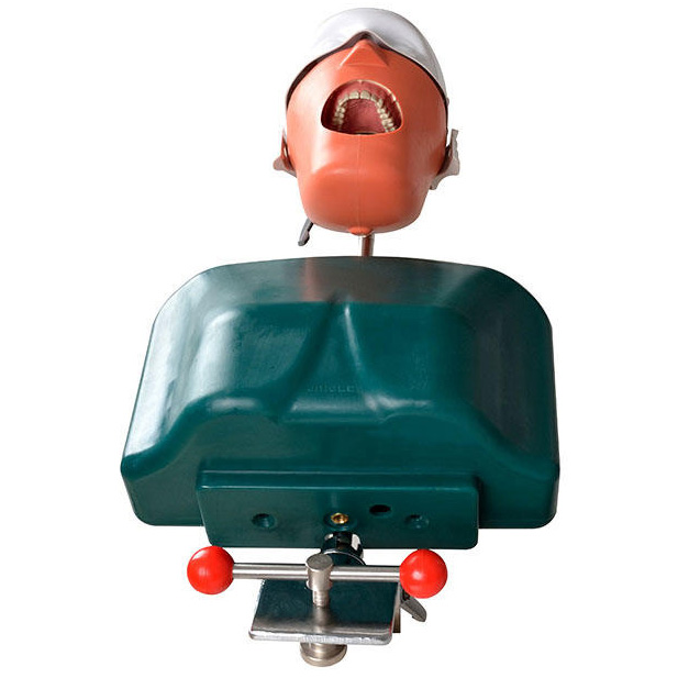 Jingle JG-C1 Professional Dental Manikin Phantom Head Clamp Type Typodont, Compatible with Nissin Kilgore/ Frasaco image 2