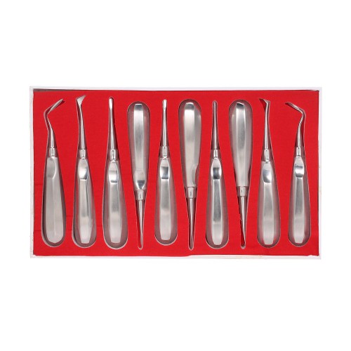 10-Piece Dental Root Elevator Orthodontic Instruments Tooth Loosening Root Extraction Kit image 1