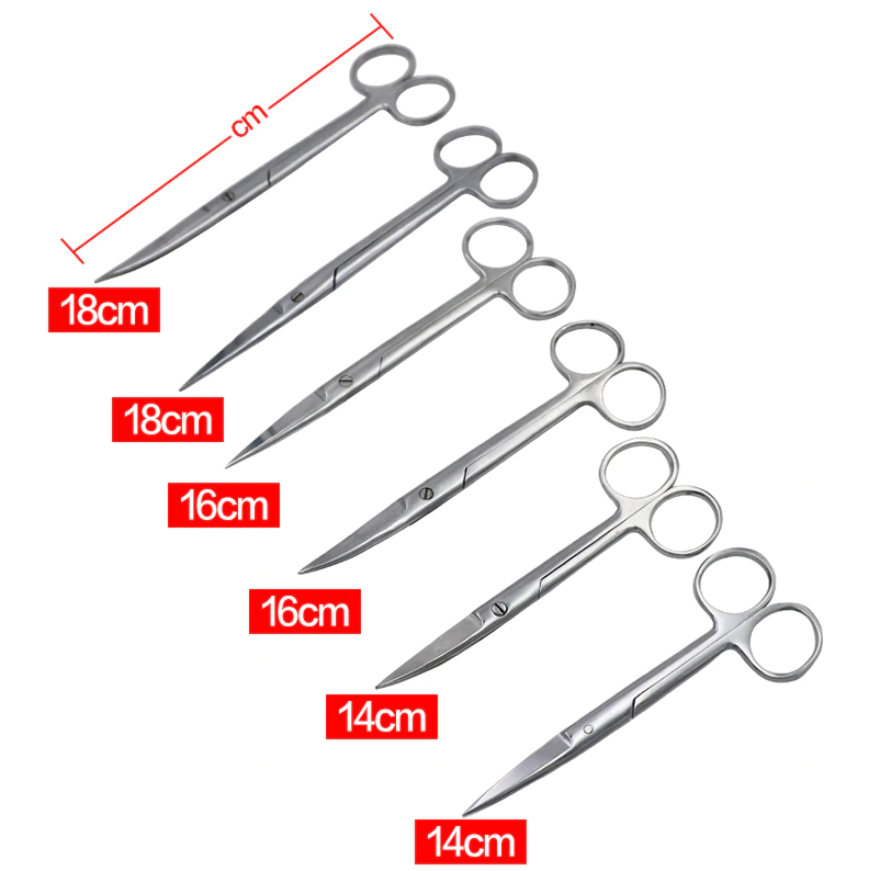 14cm/16cm/18cm Stainless Steel Surgical Scissors Straight Curved Tip Head Scissors Forceps for Professional Dental Clinic image 2
