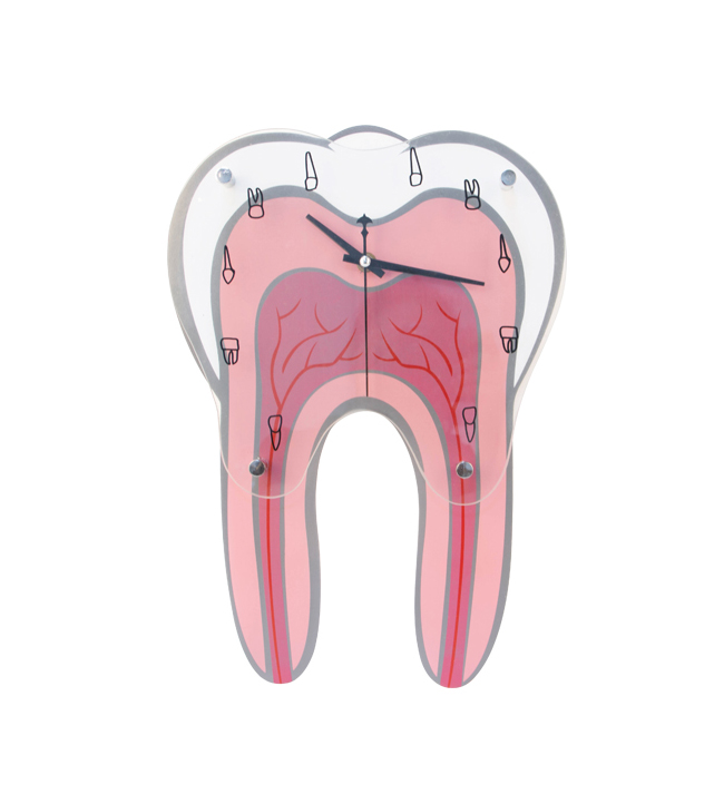 Professional Dental Gift Dental Clinic Decoration Wall Dental Clock image 2