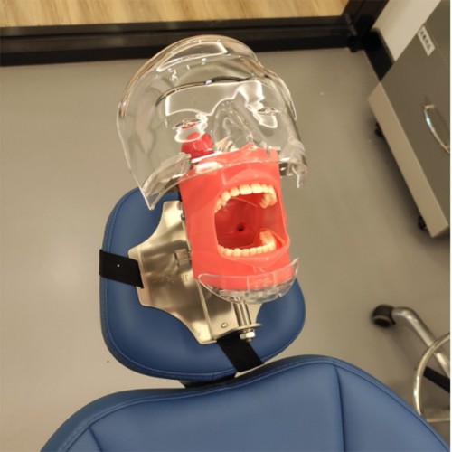Professional Dental Manual Manikin Simulator Phantom Head Model for Dental Chair Headrest, Compatible with Nissin Kilgore image 1